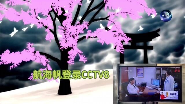 冠军品质 民族品牌 国酒航海帆登录CCTV8先锋品牌展播