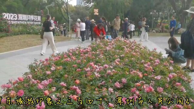 广东旅游印象之三百四十:深圳市人民公园3