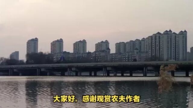 山东省郓城县锦绣城E区建筑工程事故致5人死亡,相关部门加强监管