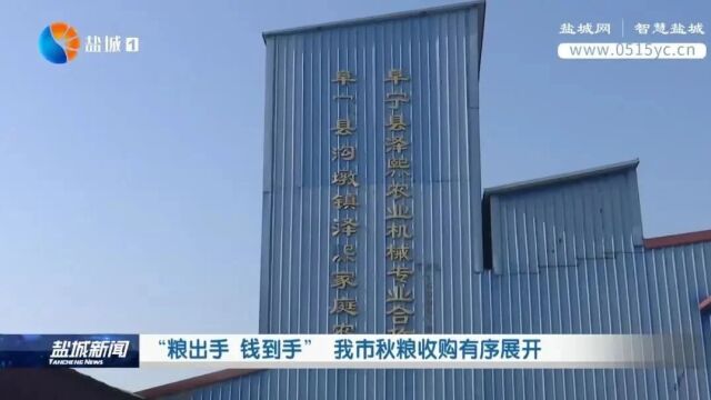 “粮出手 钱到手” 我市秋粮收购有序展开