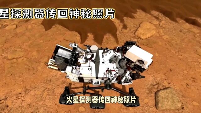 火星探测器传回神秘照片,科学家:希望不是真的!