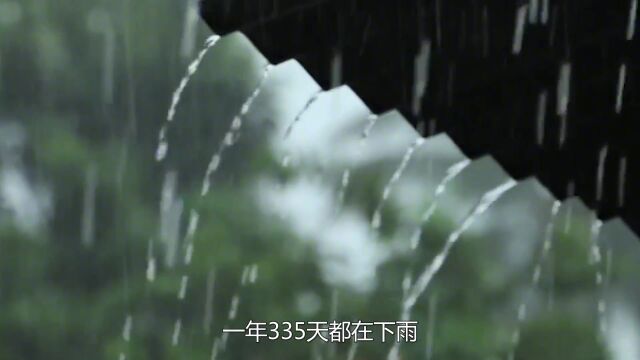 地球上最潮湿的地方,一年335天都在下雨,被称为“世界湿级”