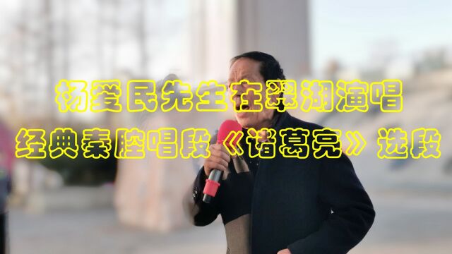 【现子湾视频】杨爱民先生在翠湖演唱经典秦腔唱段《诸葛亮》选段