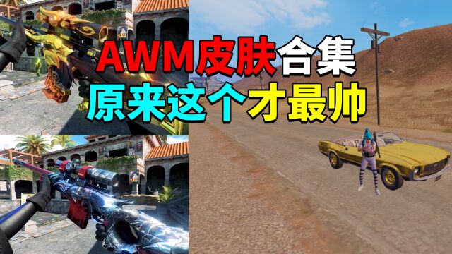 AWM皮肤合集原来最帅的是这个