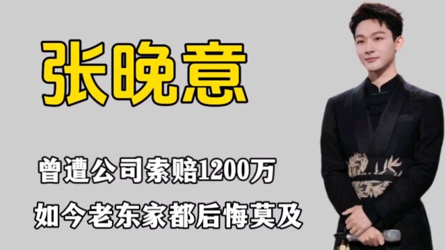 张晚意不为人知的一面,曾遭公司索赔1250万,如今老东家都后悔莫及