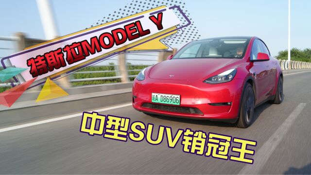 中型SUV销冠王—特斯拉model Y