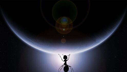 平行世界真实存在？我们或如同二维世界的蚂蚁，无法看清其全貌