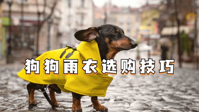 狗狗雨衣如何选?