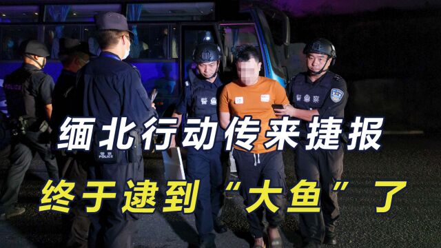 缅北行动传来捷报,诈骗窝点被一网打尽,269人被捕