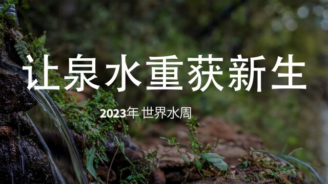 2023年世界水周:让泉水重获新生 2023年世界水周(8月2024日)