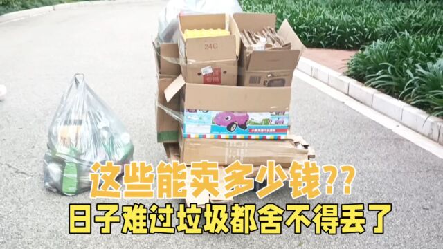 攒半年的废纸废瓶能卖多少钱?日子难过,垃圾都舍不得丢了