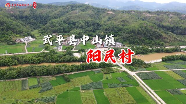 百村支书话振兴 武平县中山镇阳民村:绿色生态建设“加速跑” 打造特色产业链