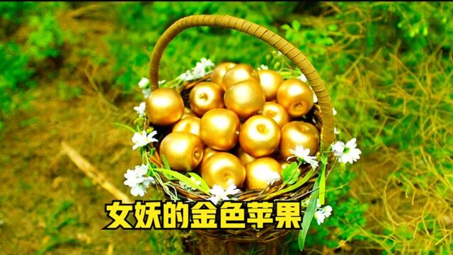 小伙在大山里发现金苹果,结果落入女人设计好的陷阱