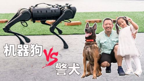 娃最喜欢的网红警犬和机器狗，如果选一个送你，你选哪个？