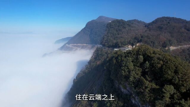 我想这大概是我住过最壕的帐篷酒店了绵阳九皇山半山归墅.