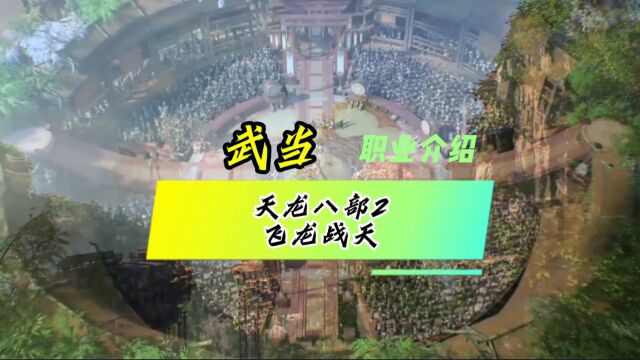 天龙八部2飞龙战天武当职业怎么样,武当职业新手攻略