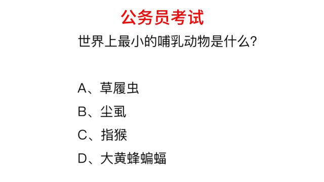 公务员考试,世界上最小的哺乳动物是什么?