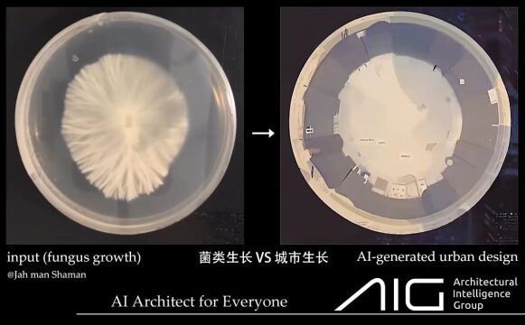 观点 | AIGC影响下的AI建筑学