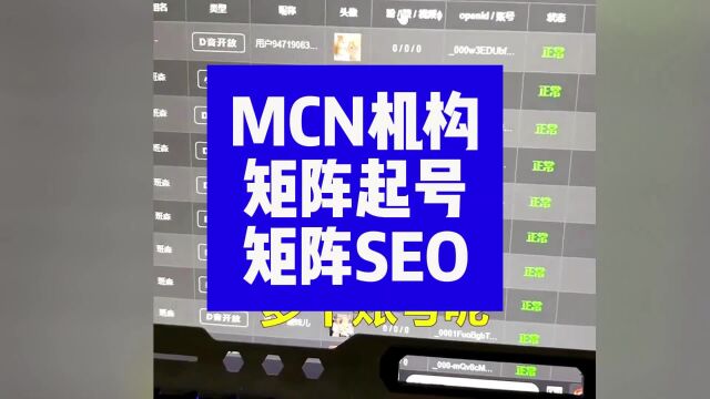 专业mcn公司如何做矩阵?批量管理,seo排名