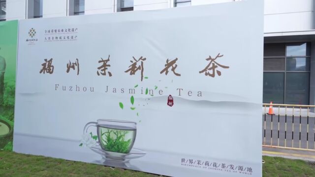 福州茉莉花茶参展厦门98茶博会(第一天)