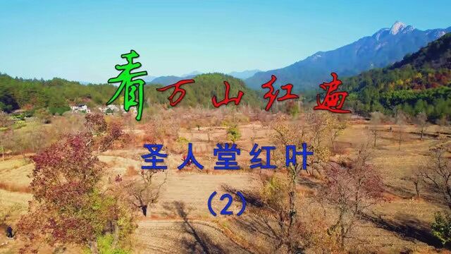 第2集|看万山红遍 圣人堂红叶(2)#12月就该这样玩 #我要上热榜 #记录真实生活