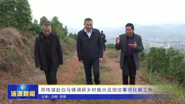 邓伟谋赴白马镇调研乡村振兴及信访事项化解工作