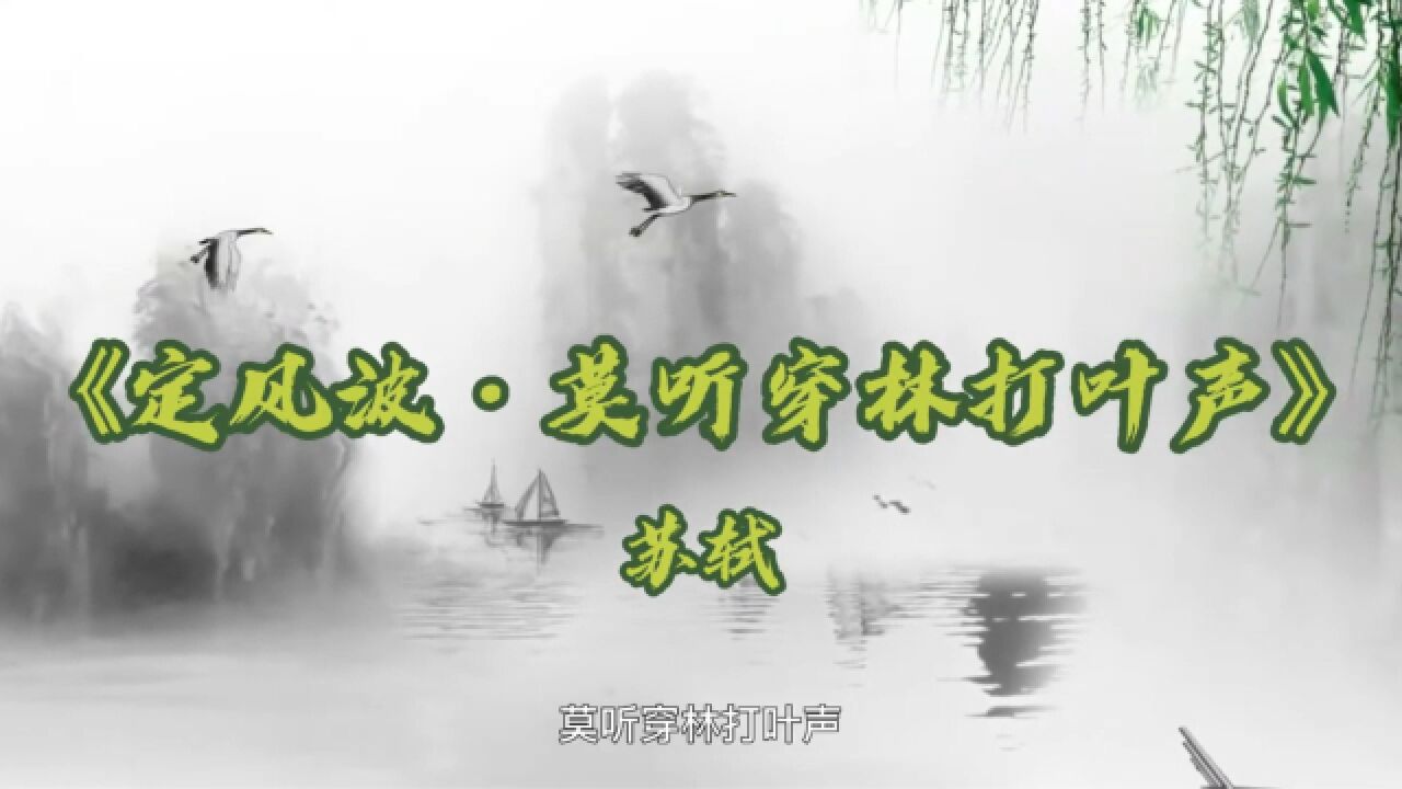诗词赏析|苏轼《定风波·莫听穿林打叶声》：一场大雨引发的逆境思考_高清1080P在线观看平台_腾讯视频
