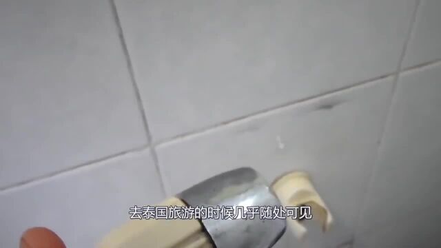 泰国人妖要怎样上厕所,去男厕还是女厕?看完视频明白了