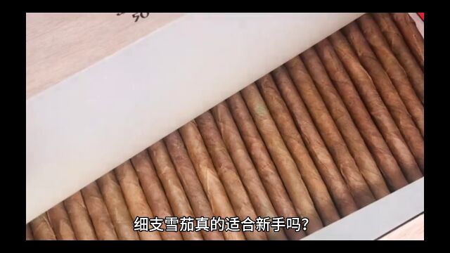 细支雪茄真的适合新手吗?