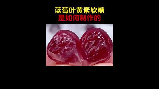 来看看工厂是如何批量生产制作#蓝莓叶黄素软糖 的!!蓝莓的采收和加工!!#制作过程 #叶黄素 #蓝莓叶黄素 #软糖