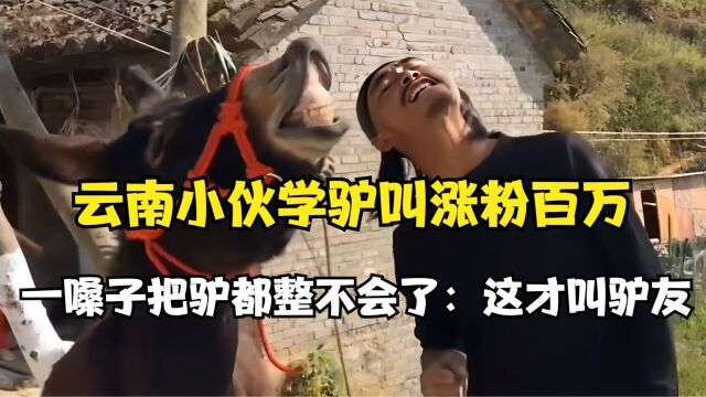 云南小伙学驴叫涨粉百万,一嗓子把驴都整不会了:这才叫驴友