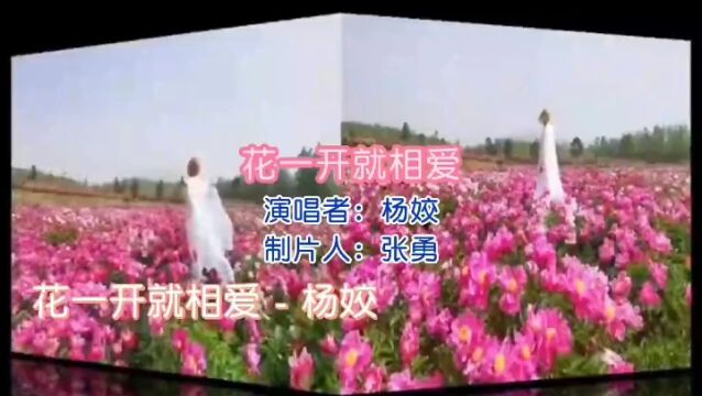 《花一开就相爱》演唱 杨姣 视频制作 张勇