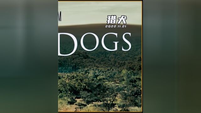 电影《猎犬》真实事件改编,三个月自相残杀100万人,震撼世界3