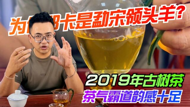 为何那卡是勐宋领头羊?阿伟试喝2019年古树茶,茶气霸道韵感十足