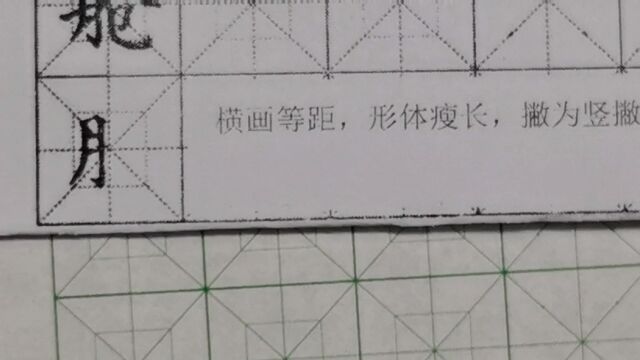 野文书道偏旁部首:月字旁