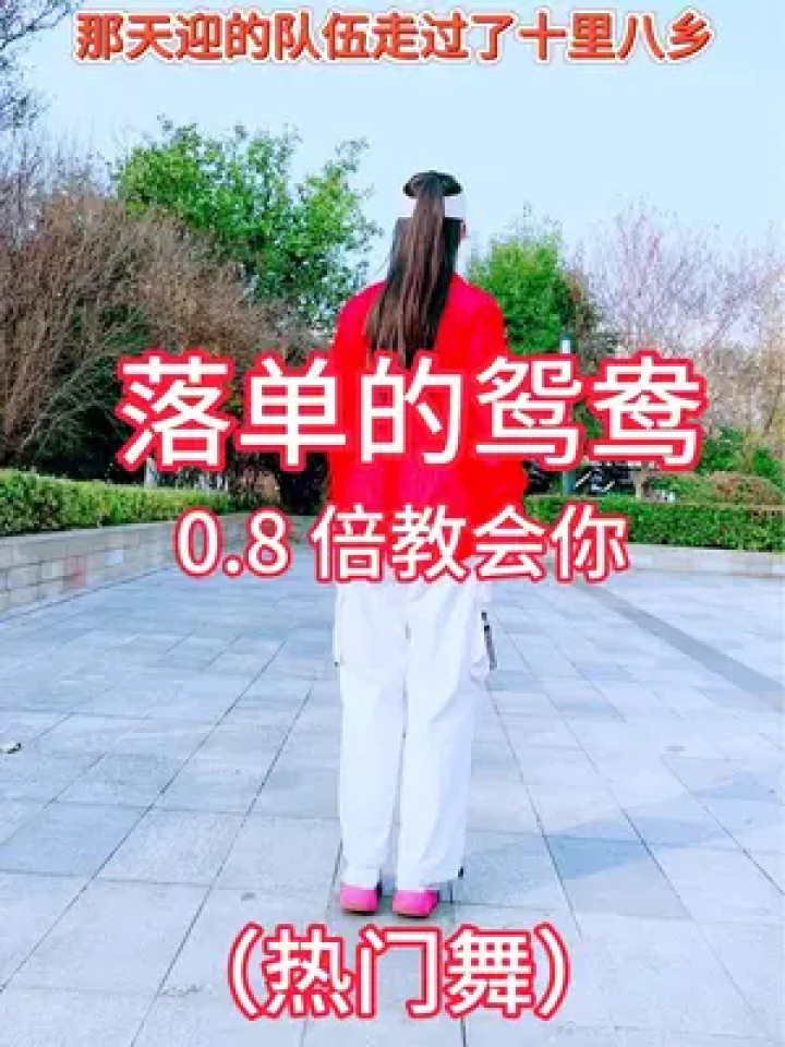 #落单的鸳鸯#广场舞#简单好看又好学#广场舞教学_高清