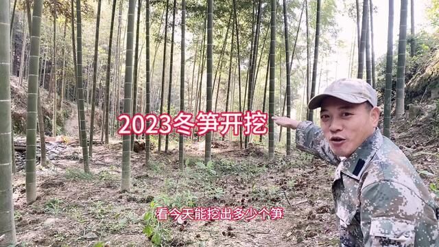 2023挖冬笋的笋一天#挖冬笋 #我的乡村生活