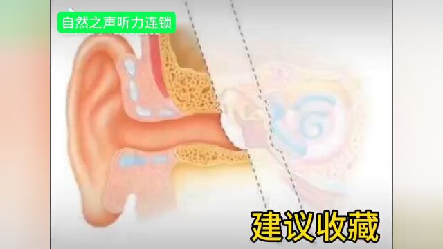 双耳节拍脑波音乐可缓解耳鸣