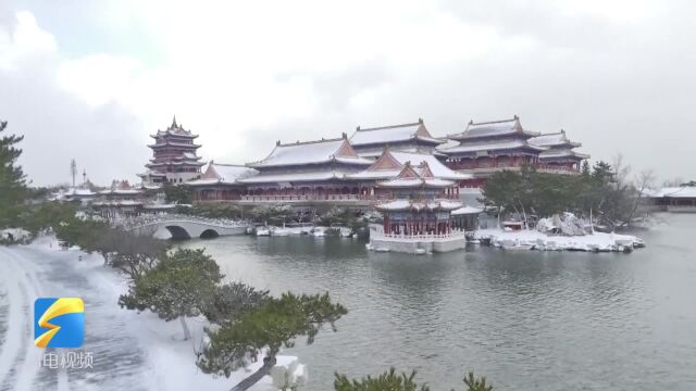 烟台市蓬莱区:冬深知雪重 雪落又成诗