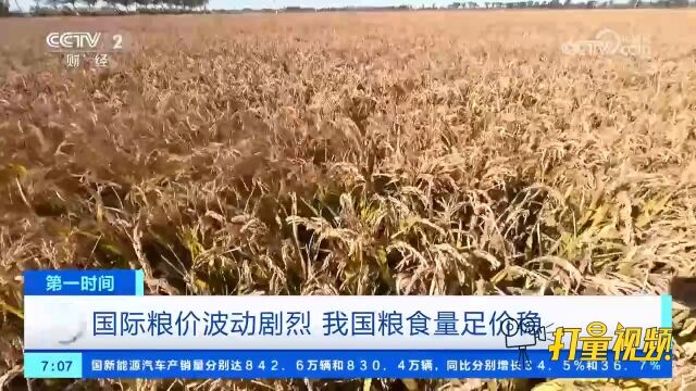 受极端天气多发等因素影响,国际粮价波动剧烈,我国粮食量足价稳