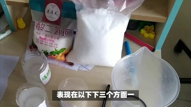 三种磷酸二氢钾,都有啥区别,哪种效果好