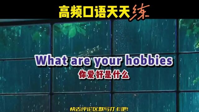 S240丨高频英语 What are your hobbies.你的爱好是什么