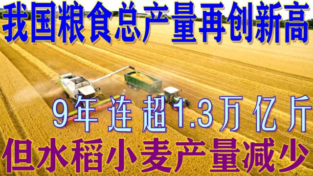 今年我国粮食总产量又创新高!玉米大豆增产,水稻小麦产量却下跌