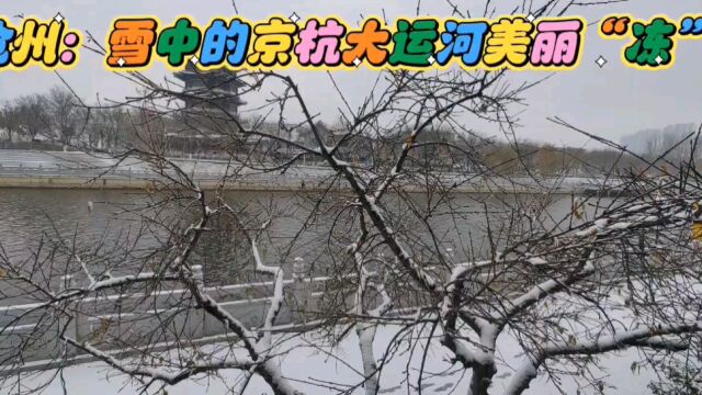 记沧州:雪中的京杭大运河美丽“冻”人