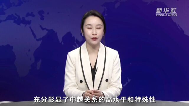 新华国际“屏”论 | 总书记访问越南,三个关键词提前看