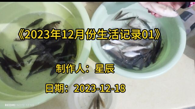 2023年12月份生活记录01