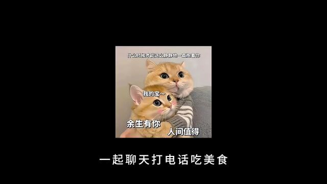 好的爱人 得先是好的朋友