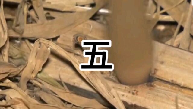 荒野求生《五》