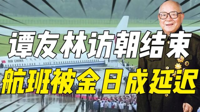 92年谭友林访朝结束准备回国,金日成却下令:该次航班延迟起飞!