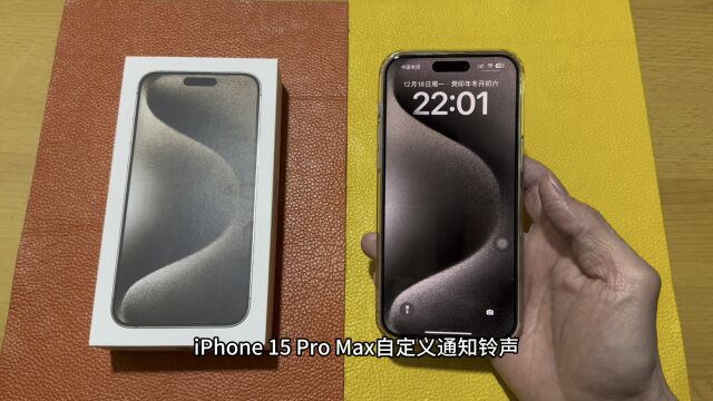 iPhone 15 Pro Max自定义通知铃声